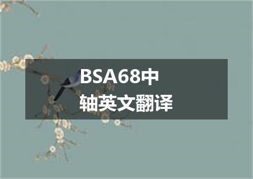 BSA68中轴英文翻译