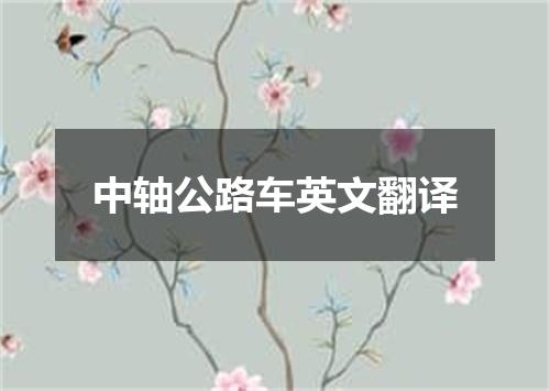 中轴公路车英文翻译