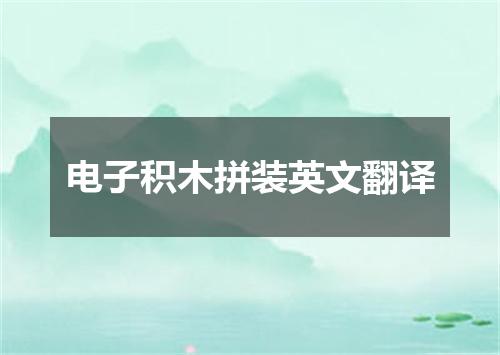 电子积木拼装英文翻译