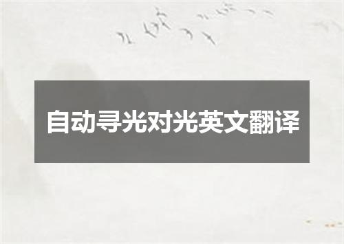 自动寻光对光英文翻译