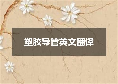 塑胶导管英文翻译