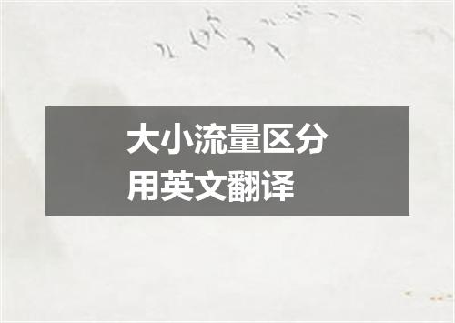 大小流量区分用英文翻译