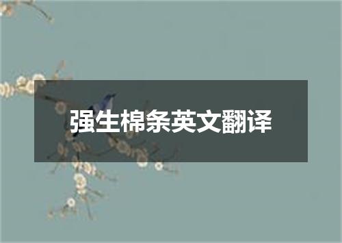 强生棉条英文翻译