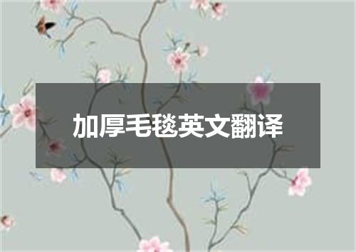 加厚毛毯英文翻译