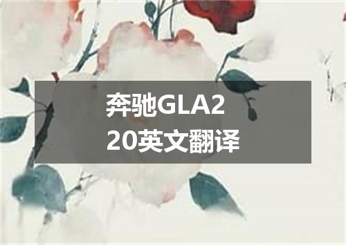 奔驰GLA220英文翻译
