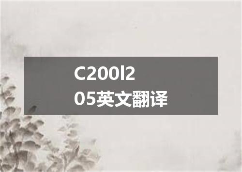 C200l205英文翻译