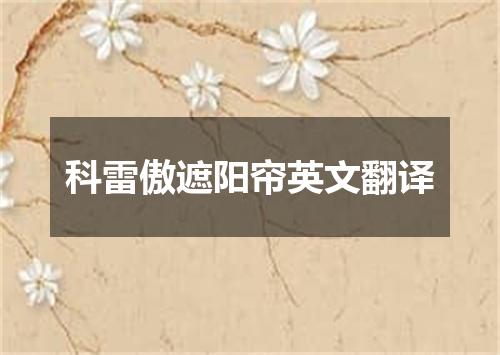 科雷傲遮阳帘英文翻译