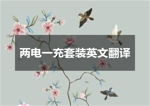 两电一充套装英文翻译