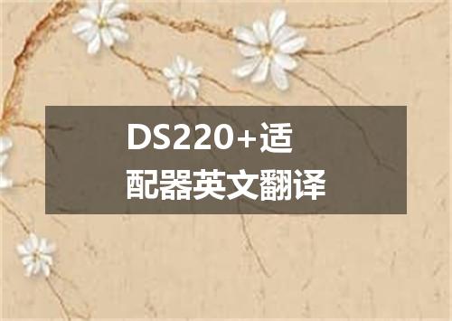 DS220+适配器英文翻译