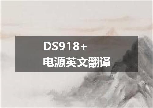 DS918+电源英文翻译