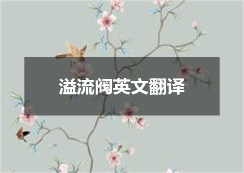 溢流阀英文翻译