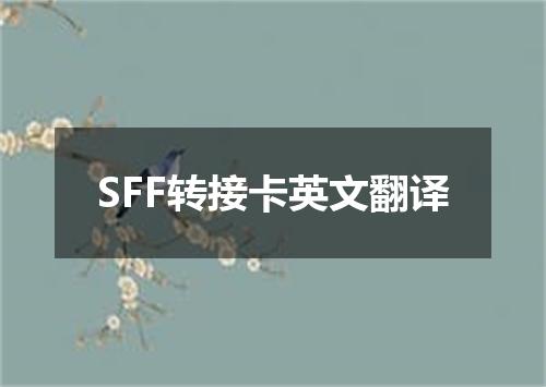 SFF转接卡英文翻译