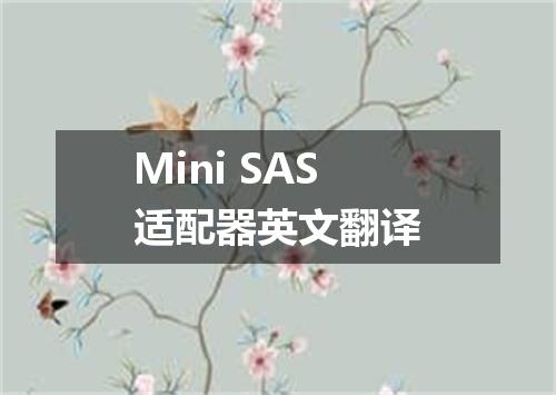 Mini SAS适配器英文翻译