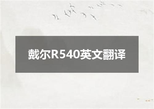 戴尔R540英文翻译