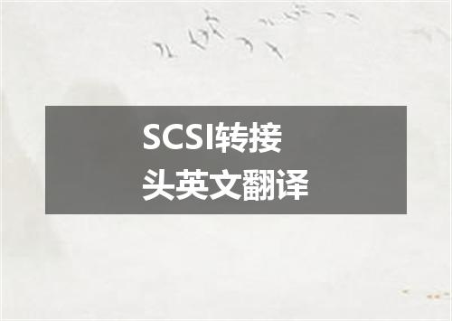 SCSI转接头英文翻译