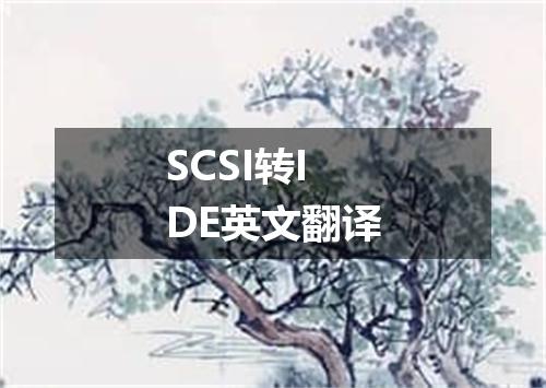 SCSI转IDE英文翻译