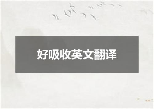 好吸收英文翻译