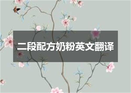 二段配方奶粉英文翻译