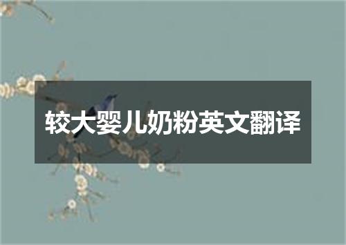 较大婴儿奶粉英文翻译