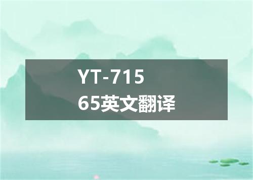 YT-71565英文翻译