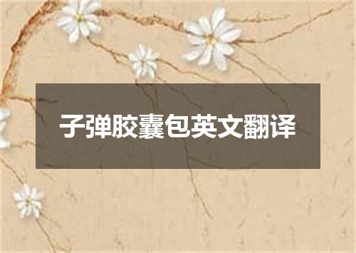 子弹胶囊包英文翻译