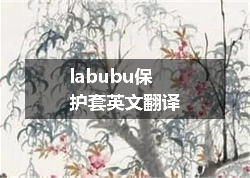 labubu保护套英文翻译