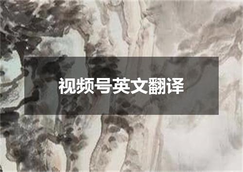 视频号英文翻译