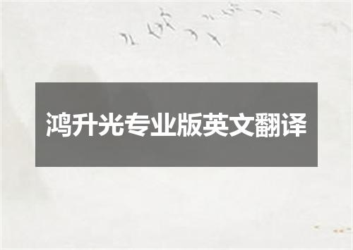 鸿升光专业版英文翻译