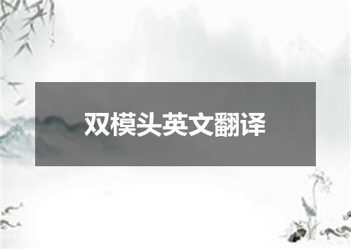 双模头英文翻译