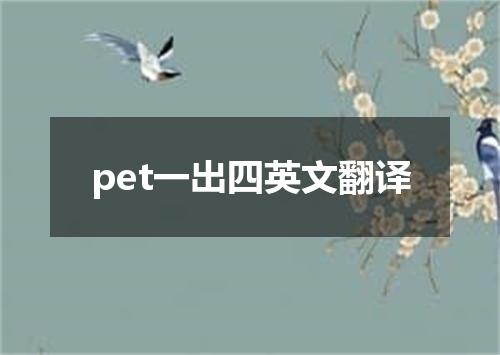 pet一出四英文翻译