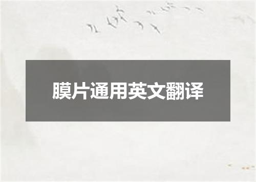 膜片通用英文翻译