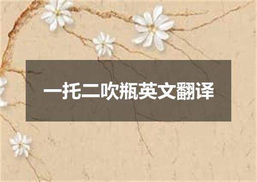 一托二吹瓶英文翻译