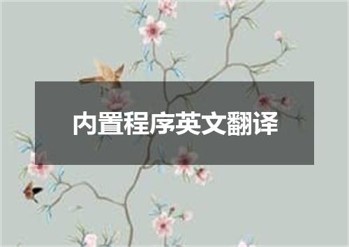 内置程序英文翻译