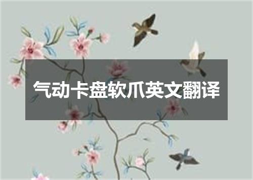 气动卡盘软爪英文翻译