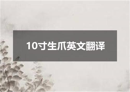 10寸生爪英文翻译