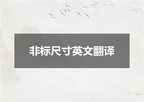 非标尺寸英文翻译