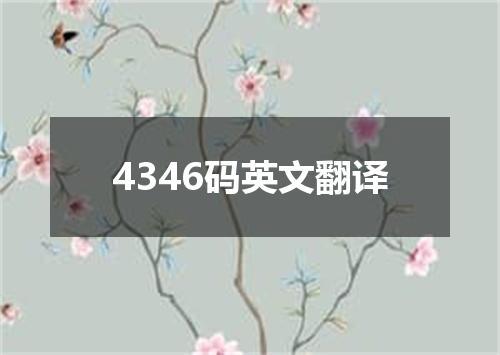 4346码英文翻译