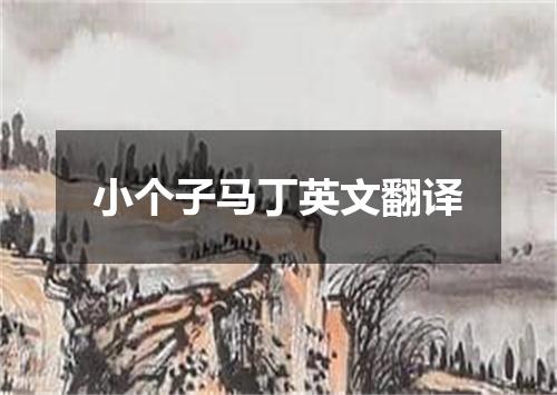 小个子马丁英文翻译