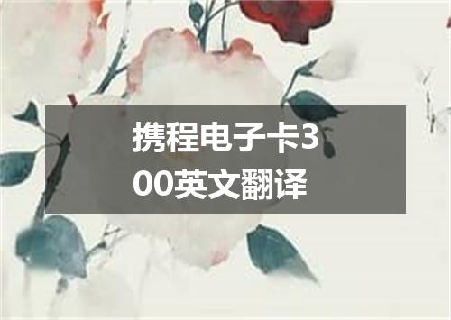 携程电子卡300英文翻译