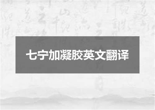 七宁加凝胶英文翻译