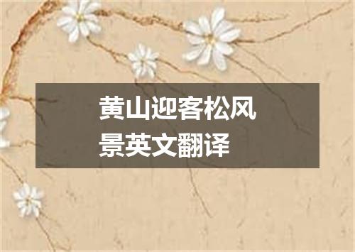 黄山迎客松风景英文翻译