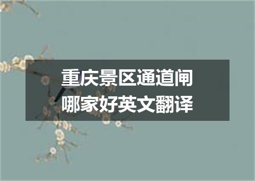 重庆景区通道闸哪家好英文翻译
