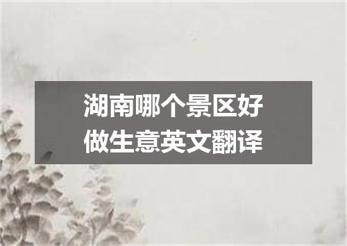 湖南哪个景区好做生意英文翻译