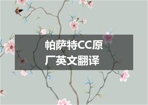 帕萨特CC原厂英文翻译
