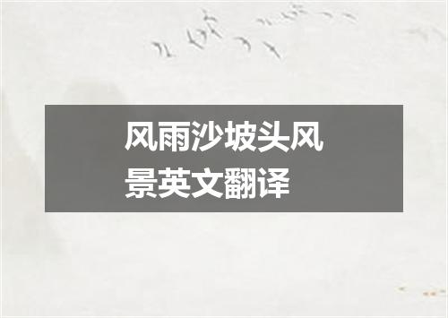 风雨沙坡头风景英文翻译