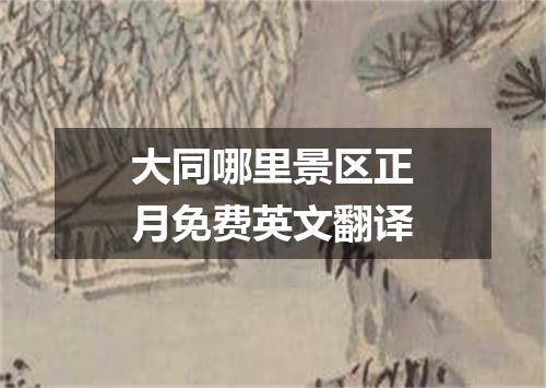 大同哪里景区正月免费英文翻译