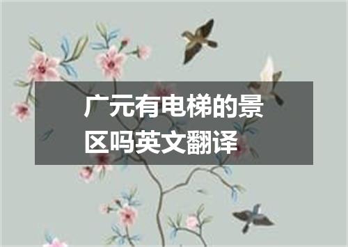 广元有电梯的景区吗英文翻译