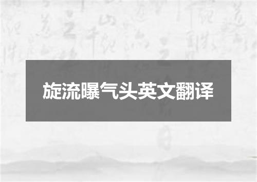 旋流曝气头英文翻译