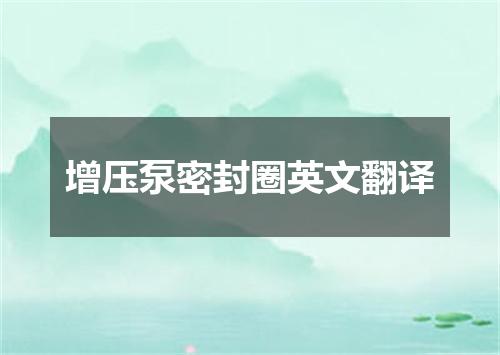 增压泵密封圈英文翻译