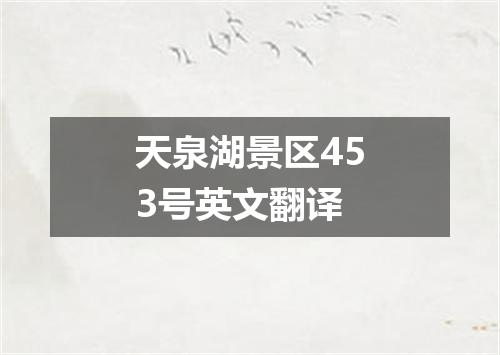 天泉湖景区453号英文翻译